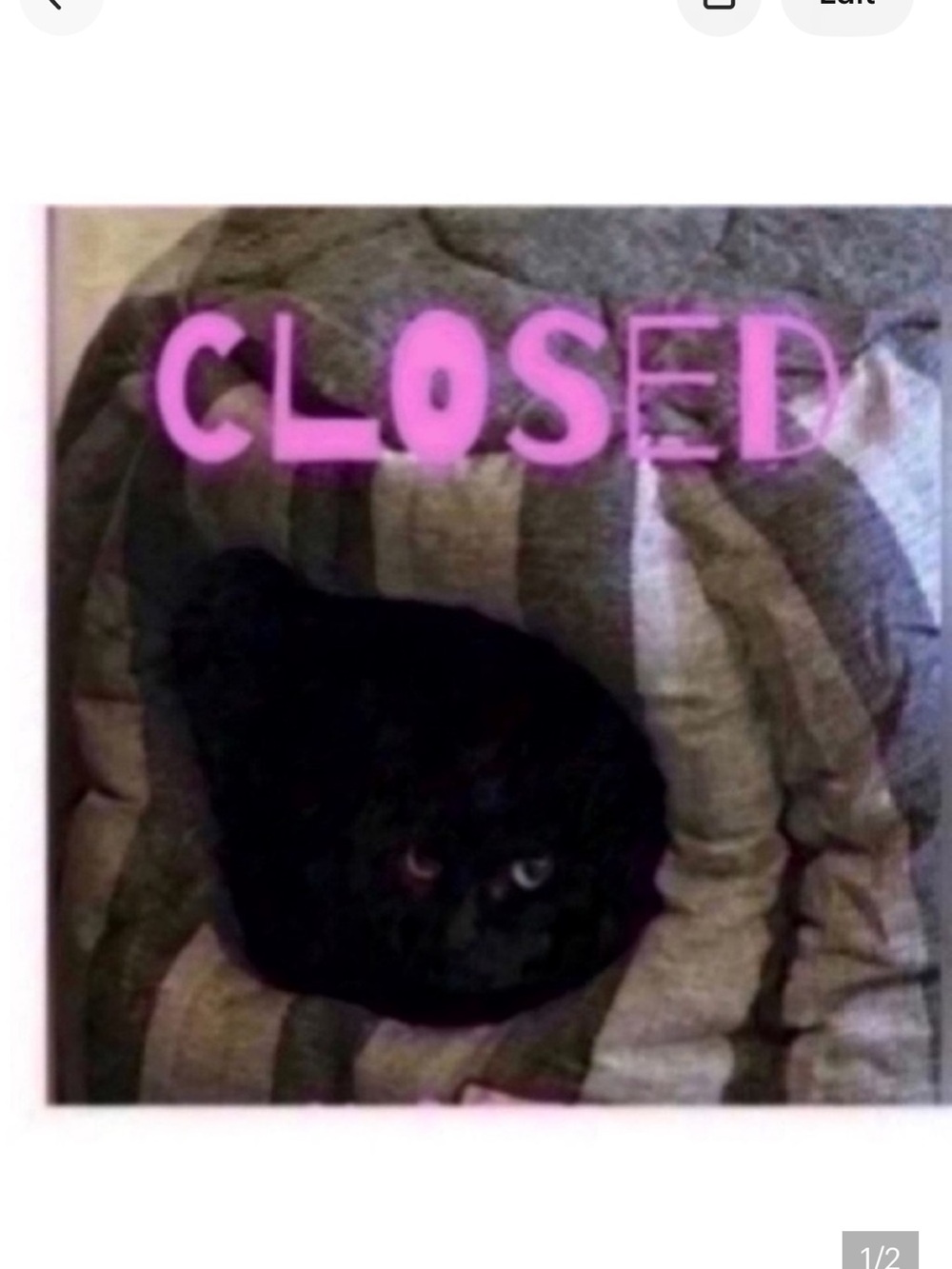 CLOSED 🐈‍⬛Pillows pick 5